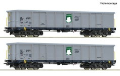 Roco 6600295 - H0 - 2-tlg. Set Offene Güterwagen, Tankwagon, Ep. VI